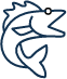 vis